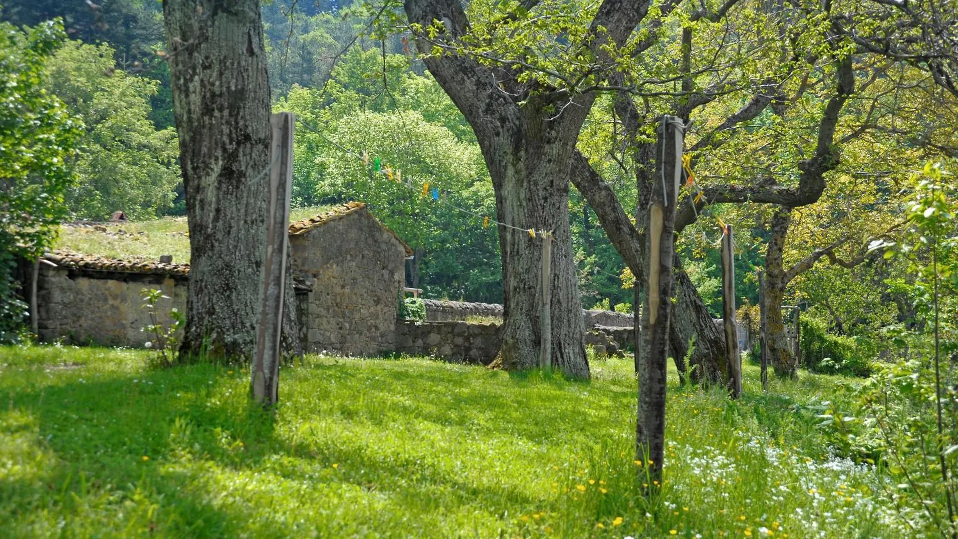 Holiday home Casa Di Lilli Villa Vivo d'Orcia Italy
