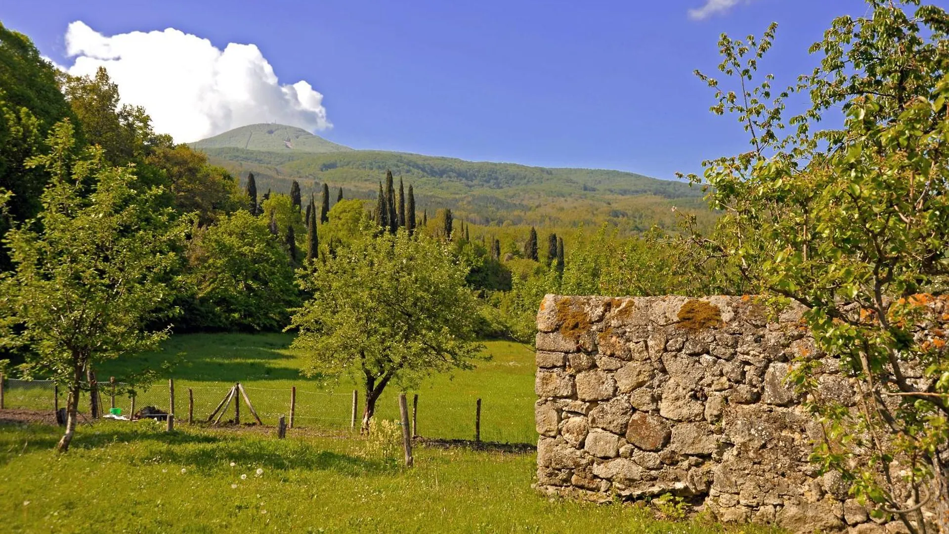 Casa Di Lilli Villa Vivo d'Orcia
