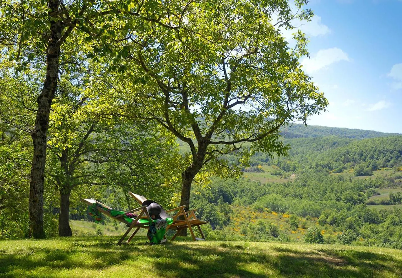 Holiday home Casa Di Lilli Villa Vivo d'Orcia